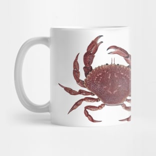 Rock Crab Mug